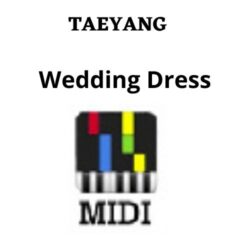 Wedding Dress Midi